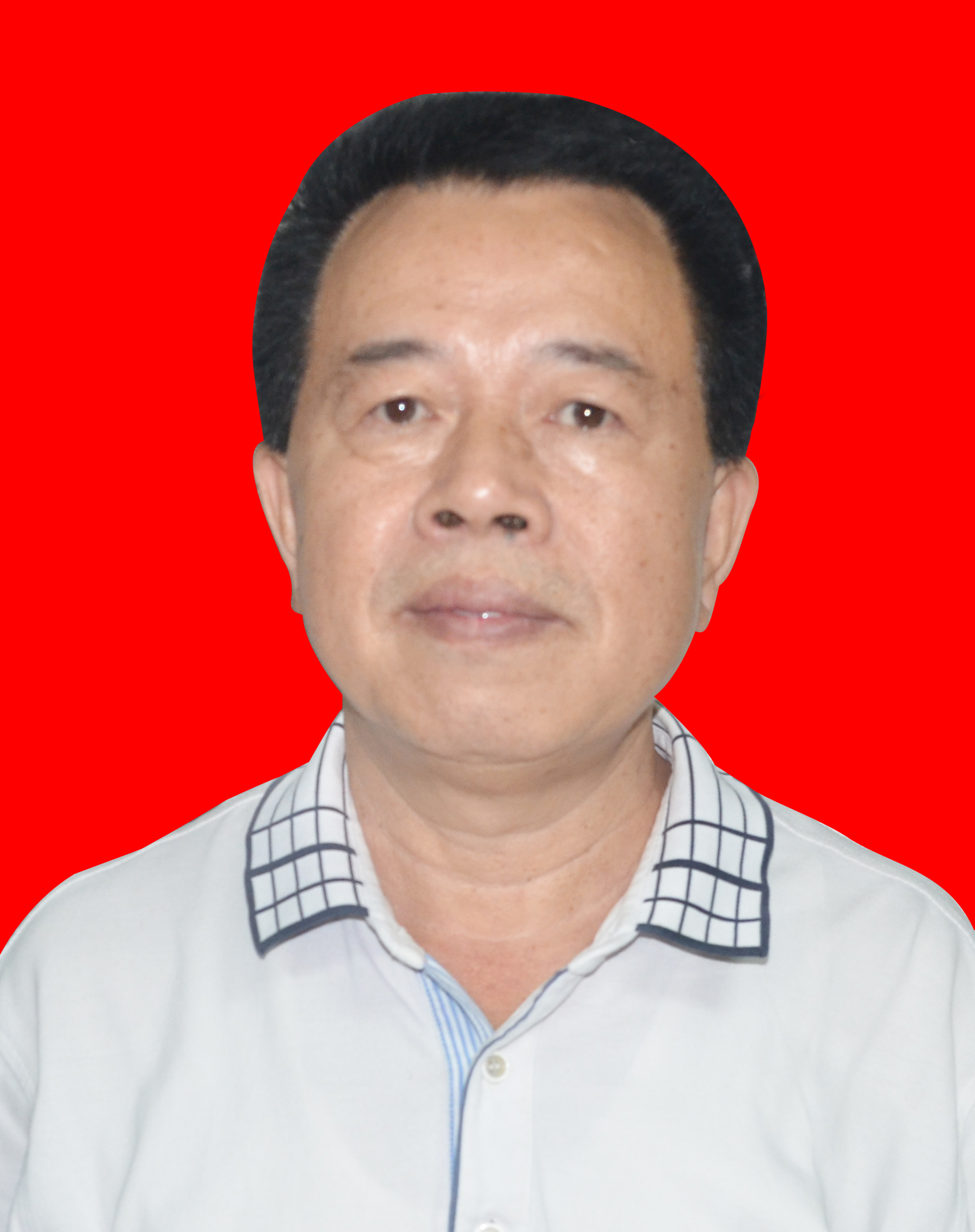 副会长(黄子绍)